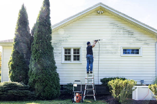 Best Sidewalk and Walkway Cleaning  in Harrison, OH